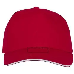 visera