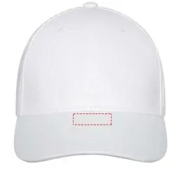 visera