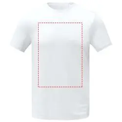 impacto - frontal completo