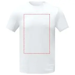 impacto - frontal completo