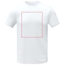 impacto - frontal completo