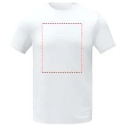 impacto - frontal completo