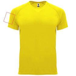 bíceps derecho