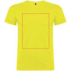 impacto - frontal completo