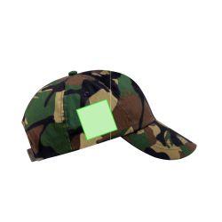 Area 4