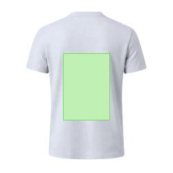 Area 7
