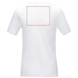 impacto - espalda arriba