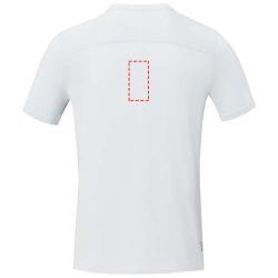 impacto - espalda arriba