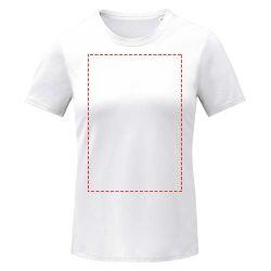 impacto - frontal completo