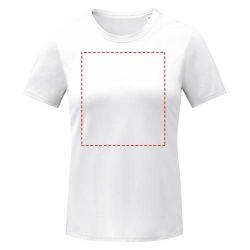 impacto - frontal completo