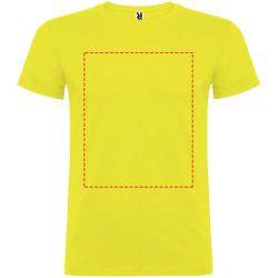 impacto - frontal completo