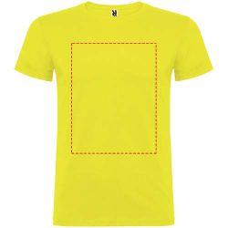 impacto - frontal completo