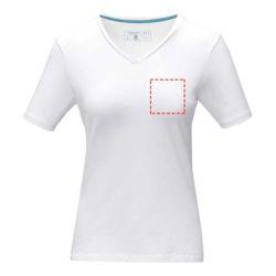 parte izquierda del pecho