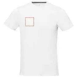 pecho derecho
