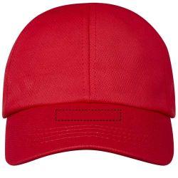 visera