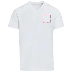 impacto - frontal completo