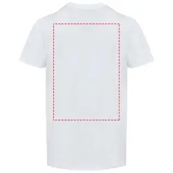 impacto - espalda arriba