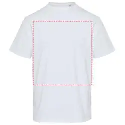 impacto - frontal completo